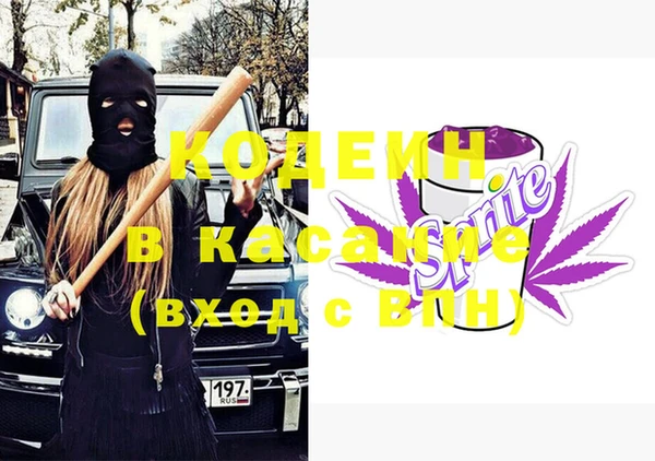 индика Алексеевка
