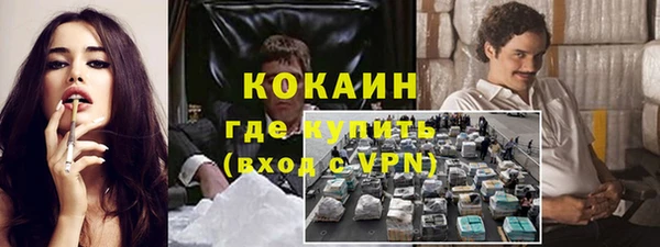индика Алексеевка