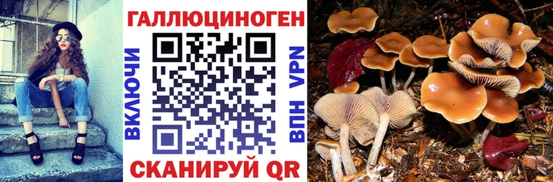 Псилоцибиновые грибы мухоморы  цены наркотик  Богучар 